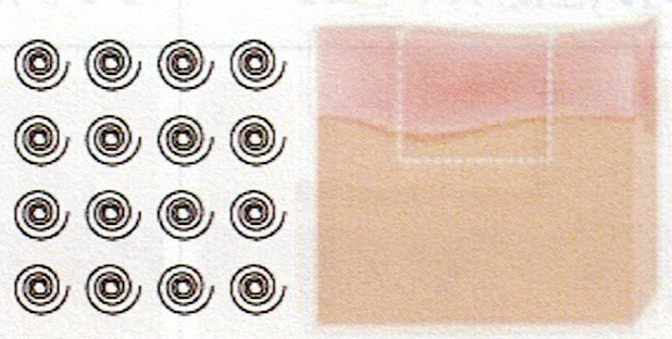 Superficial 浅く広い蒸散